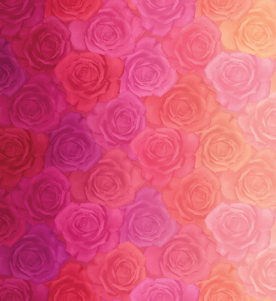 Gradients, Red to Pink Roses
