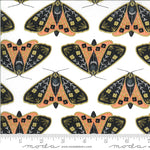 Dwell in Possibility Metallic Moths